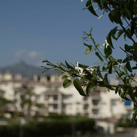 Cozy Apartment Banus Marbella Eksteriør billede